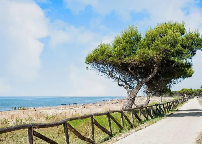 公寓 Flat In A With Shared Pool *